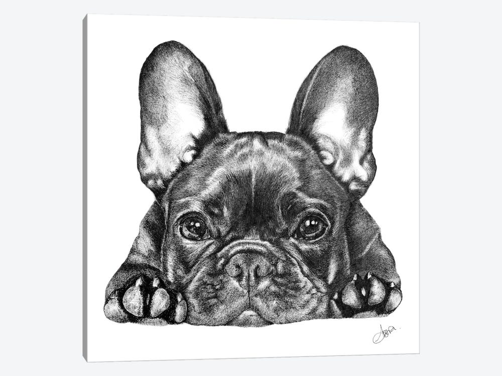 Frenchie by Astra Taylor-Todd 1-piece Canvas Art