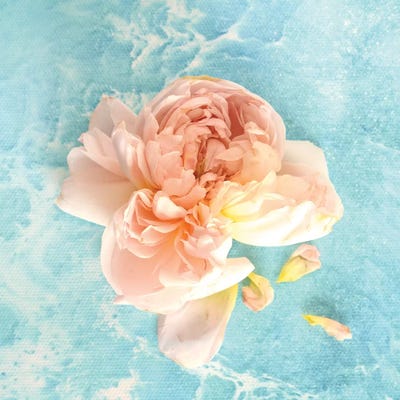 Flower Power by Antuanelle gallery poster