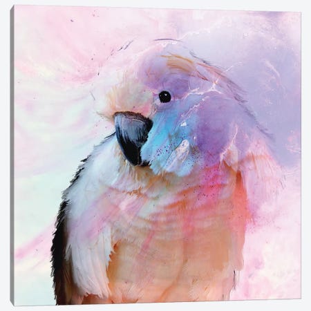 Parrot In Blush Canvas Print #ATU32} by Antuanelle Art Print
