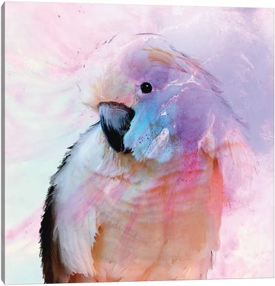 Parrot In Blush Canvas Art Print - ANTUANELLE