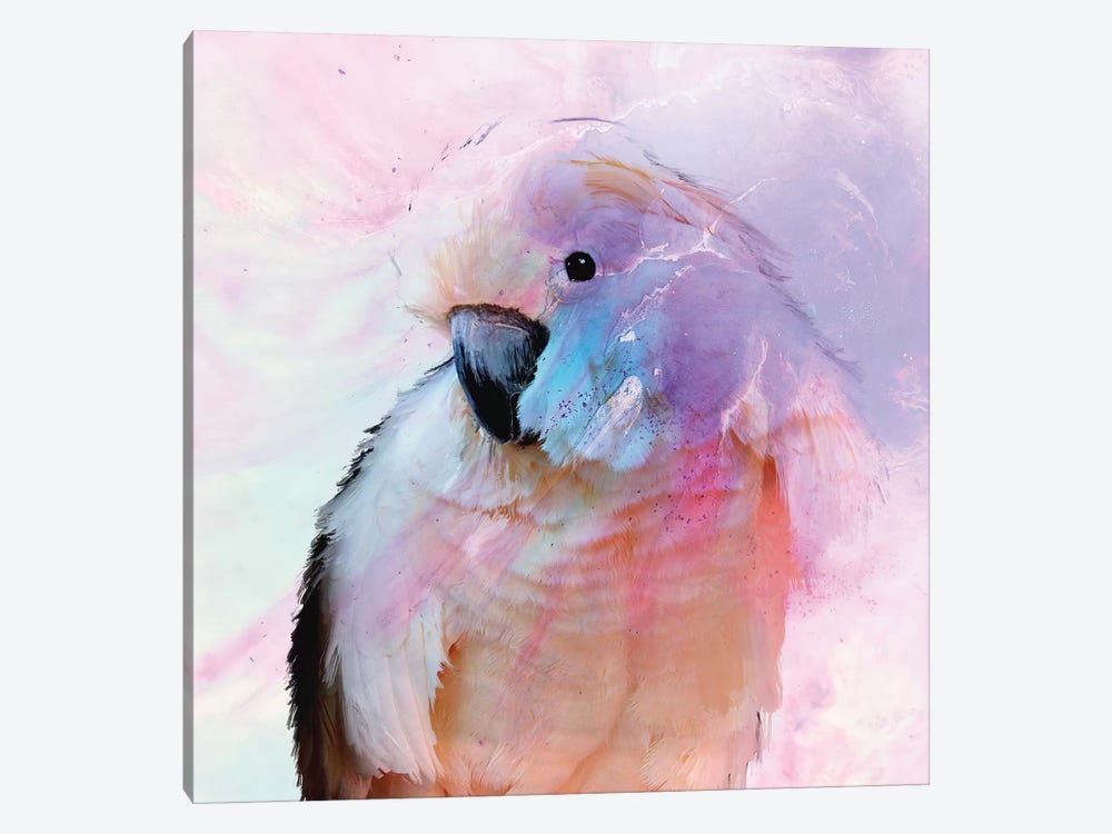 Parrot In Blush by Antuanelle 1-piece Canvas Wall Art