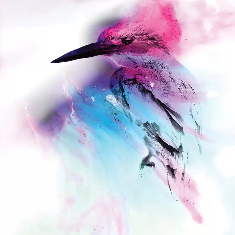 Pink And Blue Birdie