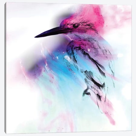 Pink And Blue Birdie Canvas Print #ATU33} by Antuanelle Canvas Print