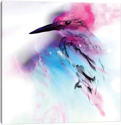 Pink And Blue Birdie Canvas Art Print - ANTUANELLE