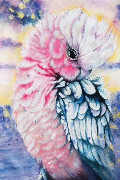 Pink Galah Watercolor by Antuanelle gallery poster