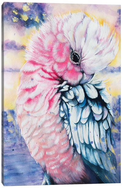 Pink Galah Watercolor Canvas Art Print - Parrot Art