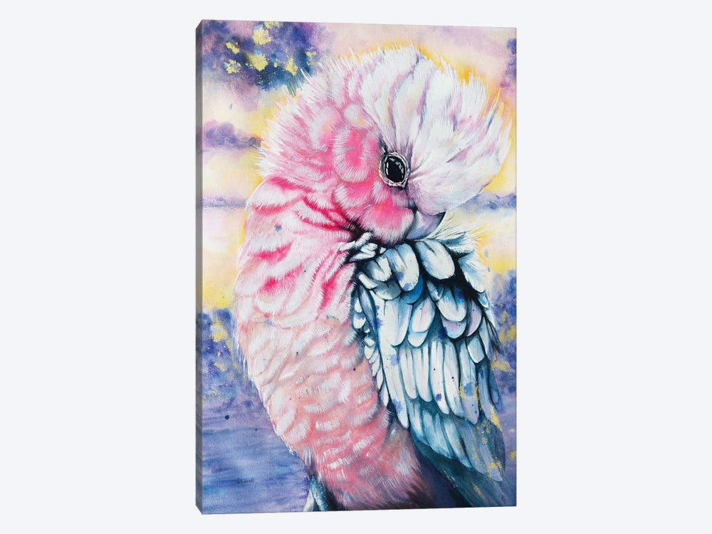 Pink Galah Watercolor by Antuanelle 1-piece Canvas Wall Art