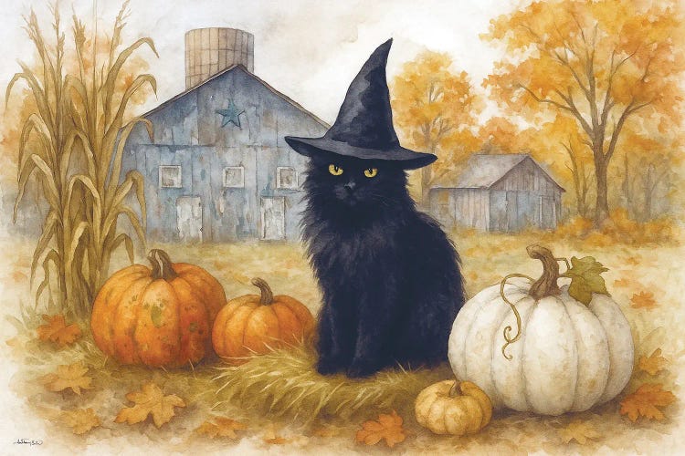 Tuna The Witch Cat