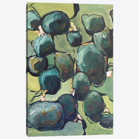Green Rocks Canvas Print #ATZ23} by Alison Corteen Canvas Print