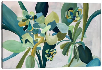 Succulents Canvas Art Print - Alison Corteen