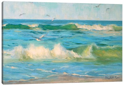 Waves And Gulls Canvas Art Print - Turquoise Art