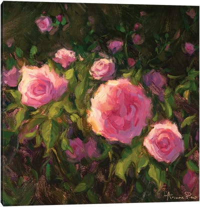 Valentine Blooms Canvas Art Print - Garden & Floral Landscape Art