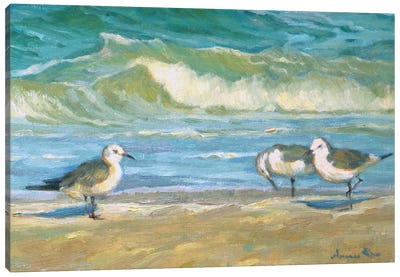Beach Meeting Canvas Art Print - Aruna Rao