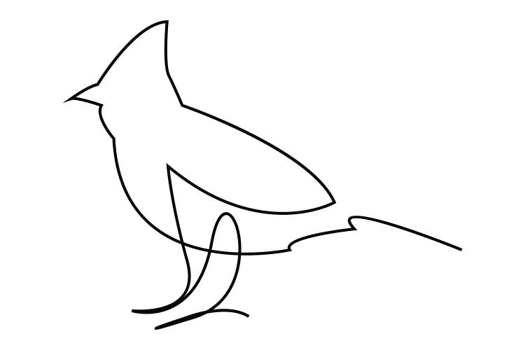 One Line Bird