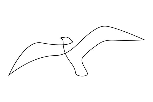 Addillum: One Line Seagull by Addillum
