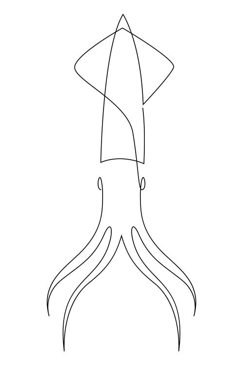 One Line Squid