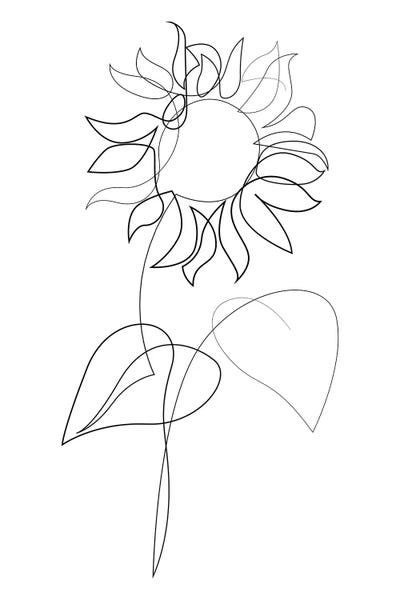 Black & White Minimalist Décor: One Line Sunflower by Addillum