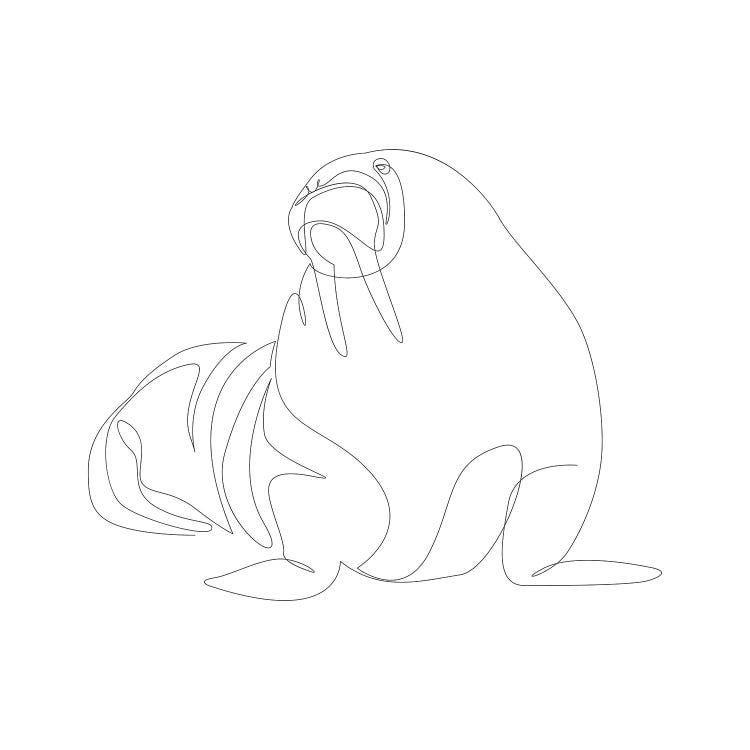 One Line Walrus