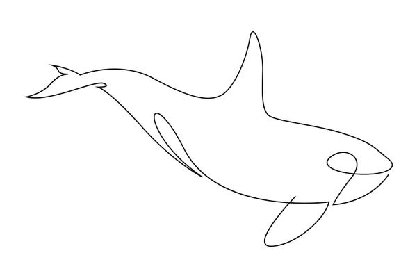 Orcas: Orca One Line by Addillum
