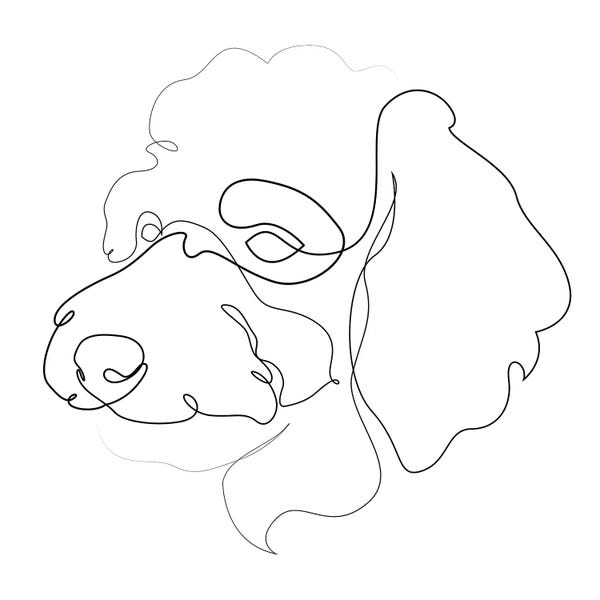Black & White Minimalist Décor: Poodle II - One Line Dog by Addillum