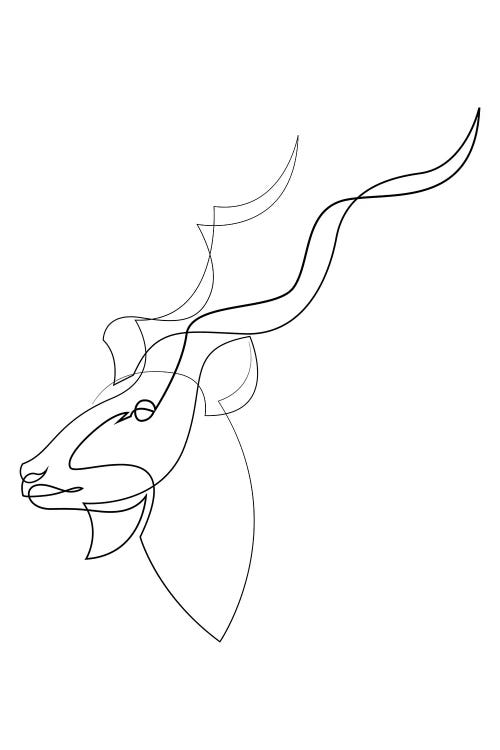 Linear Greater Kudu