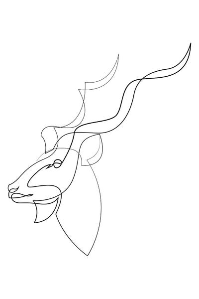 Antelopes: Linear Greater Kudu by Addillum