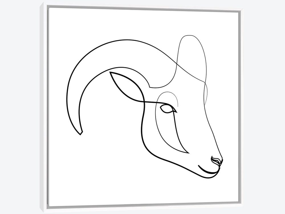 ram animal head sketch