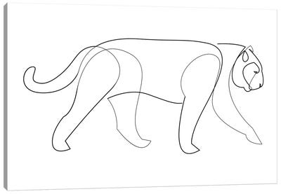 Big Cat Line Canvas Art Print - Cougars