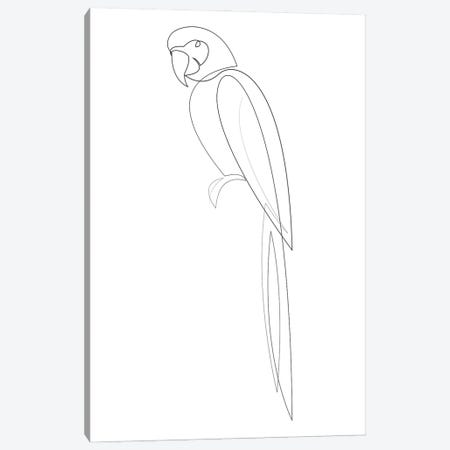 Macaw One Line Canvas Print #AUM225} by Addillum Canvas Artwork