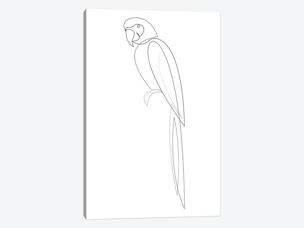 Macaw One Line by Addillum 1-piece Canvas Art