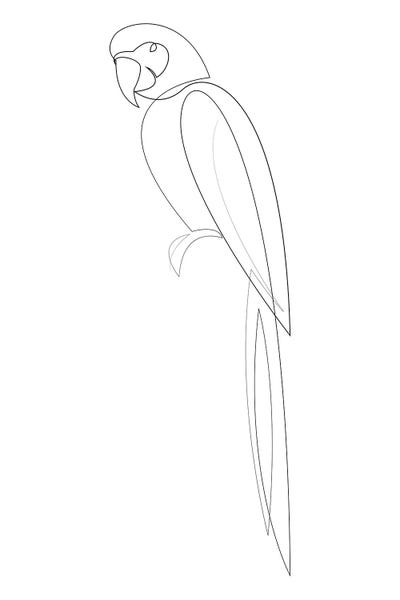Addillum: Macaw One Line by Addillum