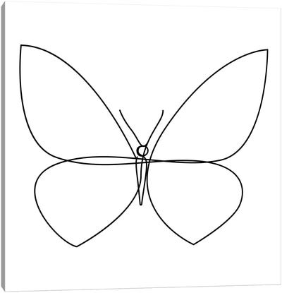 Butterfly XIX LB1 - Continuous Line Canvas Art Print - Monarch Metamorphosis