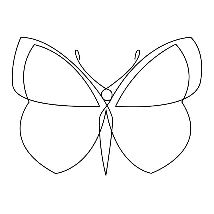 Butterfly XIX LB2 - Continuous Line