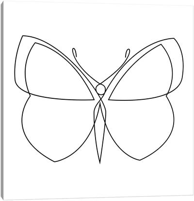 Butterfly XIX LB2 - Continuous Line Canvas Art Print - Monarch Metamorphosis