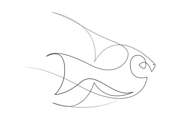 Addillum