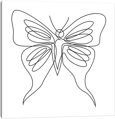 Butterfly XIX LB3 - Continuous Line Canvas Art Print - Monarch Metamorphosis