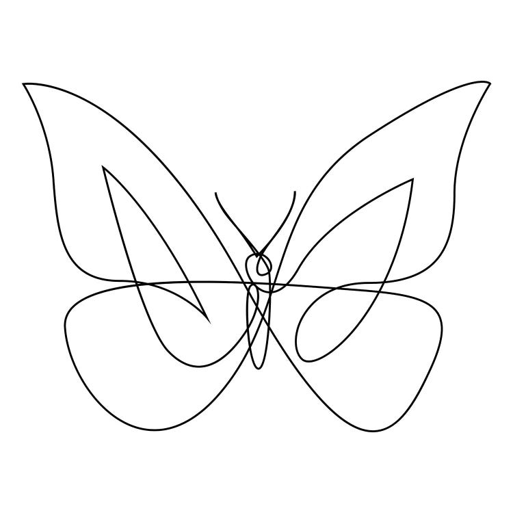 Butterfly XIX LB4 - Continuous Line