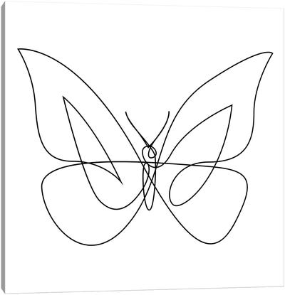 Butterfly XIX LB4 - Continuous Line Canvas Art Print - Monarch Metamorphosis