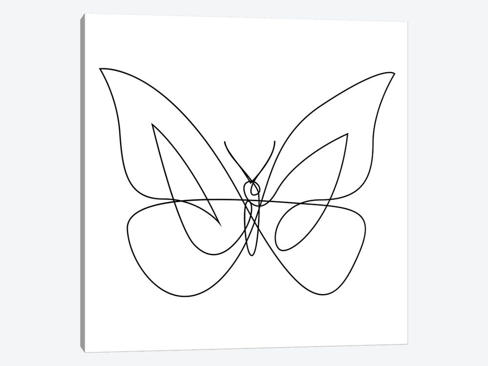 Butterfly XIX LB4 - Continuous Line by Addillum 1-piece Canvas Wall Art