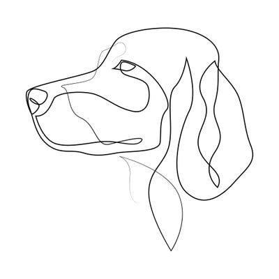 Irish Setter - One Line by Addillum acrylic art print