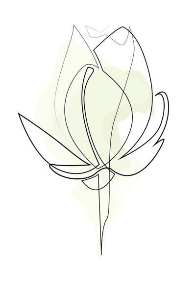 Minimalist Flowers: Lily One Line by Addillum