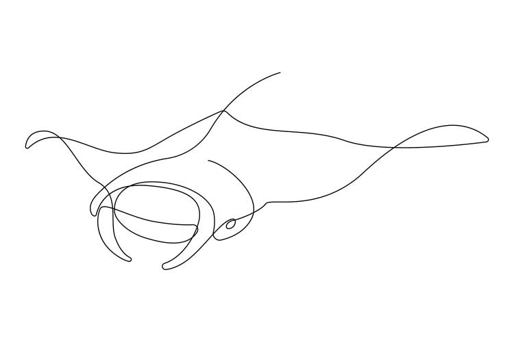 Manta Ray - One Line
