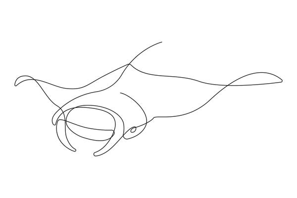 Black & White Minimalist Décor: Manta Ray - One Line by Addillum
