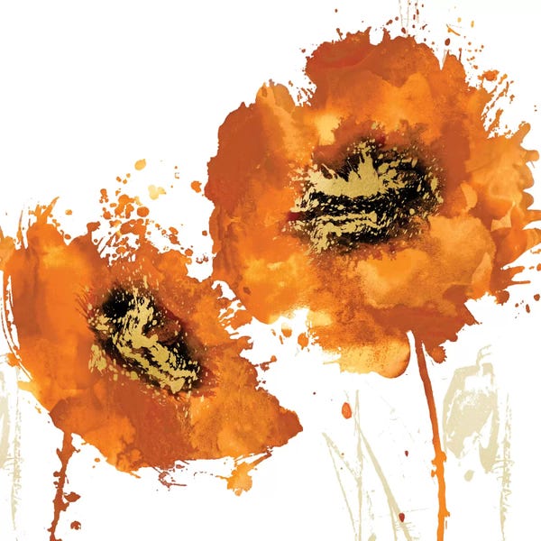 Vanessa Austin: Flower Burst In Mandarin I by Vanessa Austin