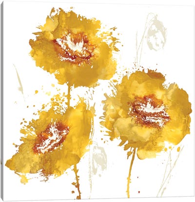 Flower Burst Trio In Amber Canvas Art Print - Vanessa Austin
