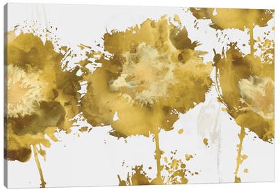 Golden Flower Burst Trio Canvas Art Print - White & Gold