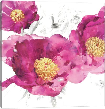Pink Bloom I Canvas Art Print - Vanessa Austin