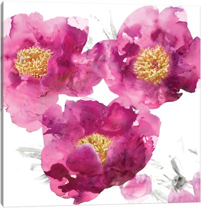 Pink Bloom II Canvas Art Print - Vanessa Austin