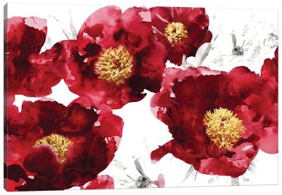 Red Bloom Canvas Art Print - Vanessa Austin
