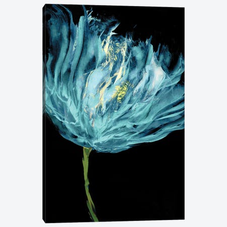 Aqua Tulips I Canvas Print #AUS38} by Vanessa Austin Canvas Art